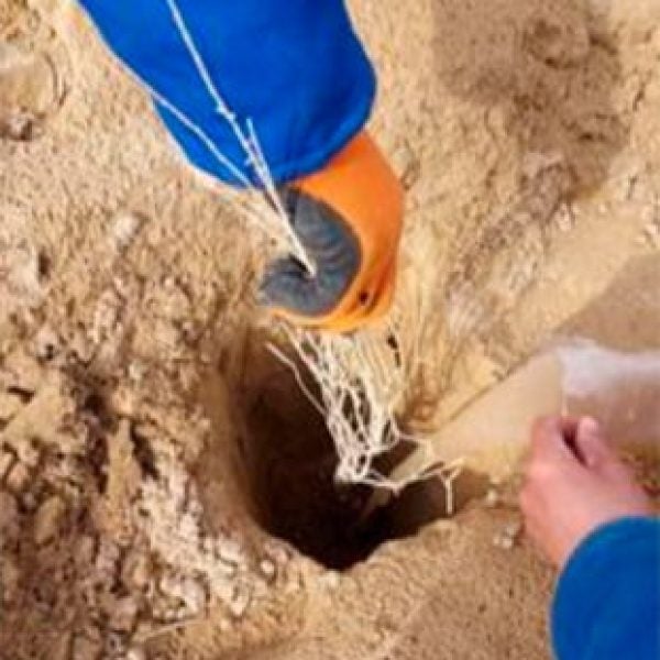 Process of plantation of Aquasorb