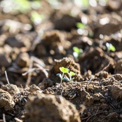 SNF-agriculture-flobond-spray-33-aquasave