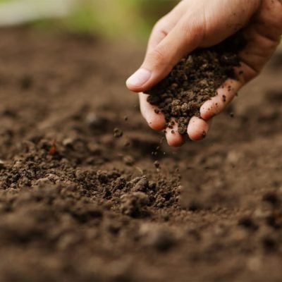 istockphoto-1183678932-1024x1024