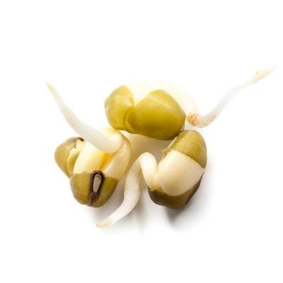 snf-flobond-seed-coating