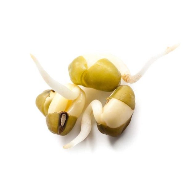 snf-flobond-seed-coating