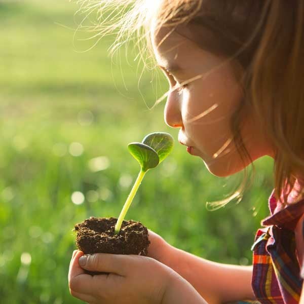 snf-sustainable-agriculture