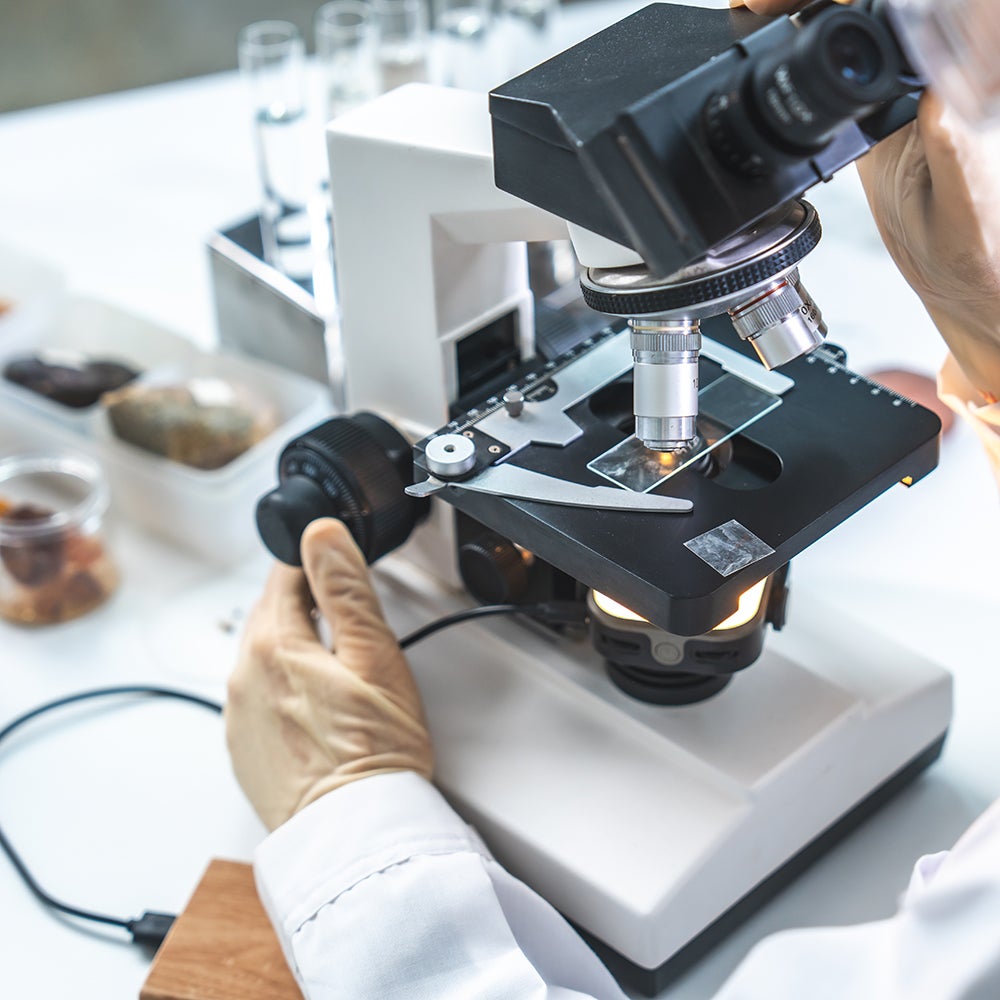 Laboratory analysis of gold ore samples under microscope for metallurgical testing and recovery optimization.