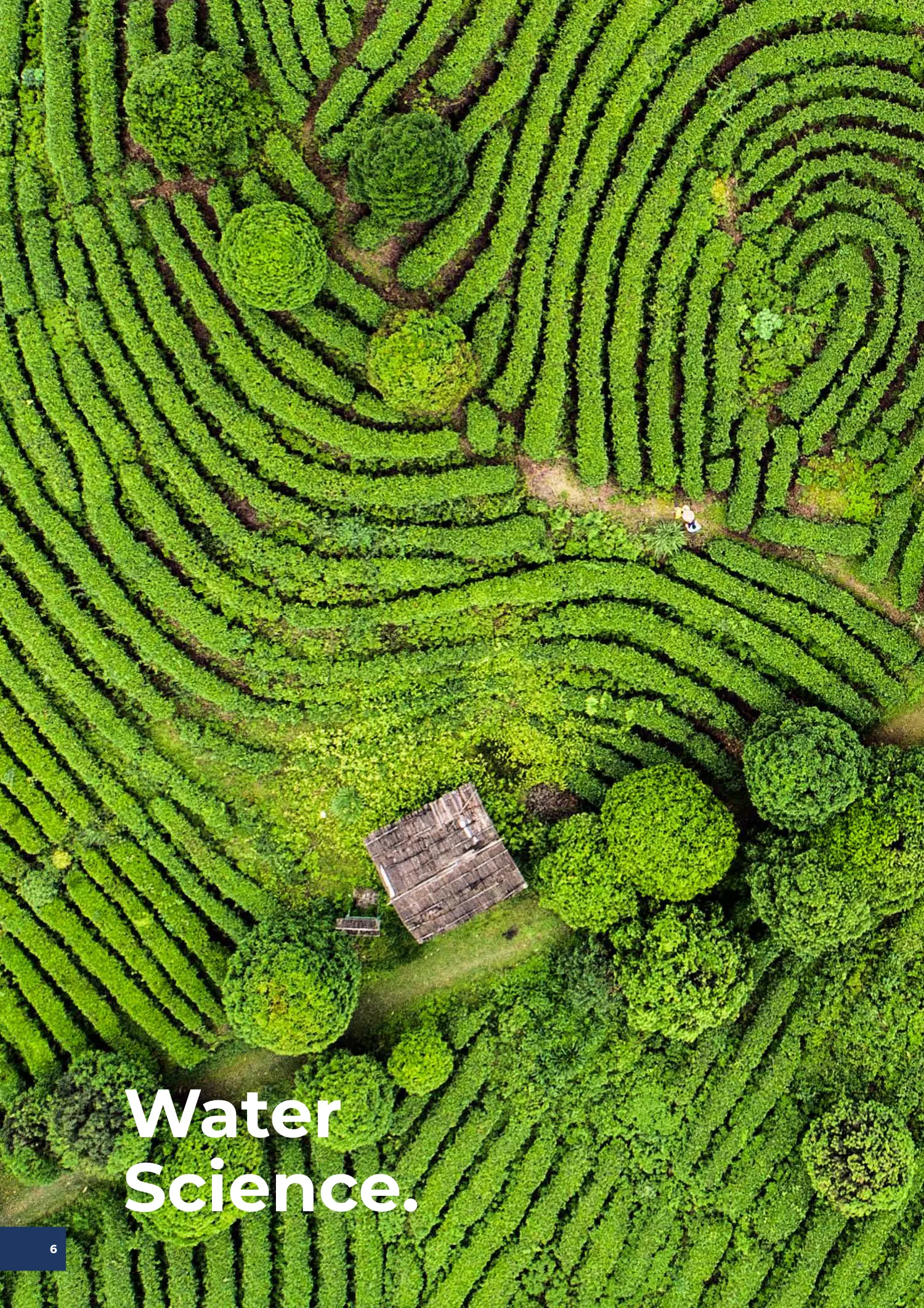 Page 6 of the SNF 2025 ESG Report: Report Cover and Introduction