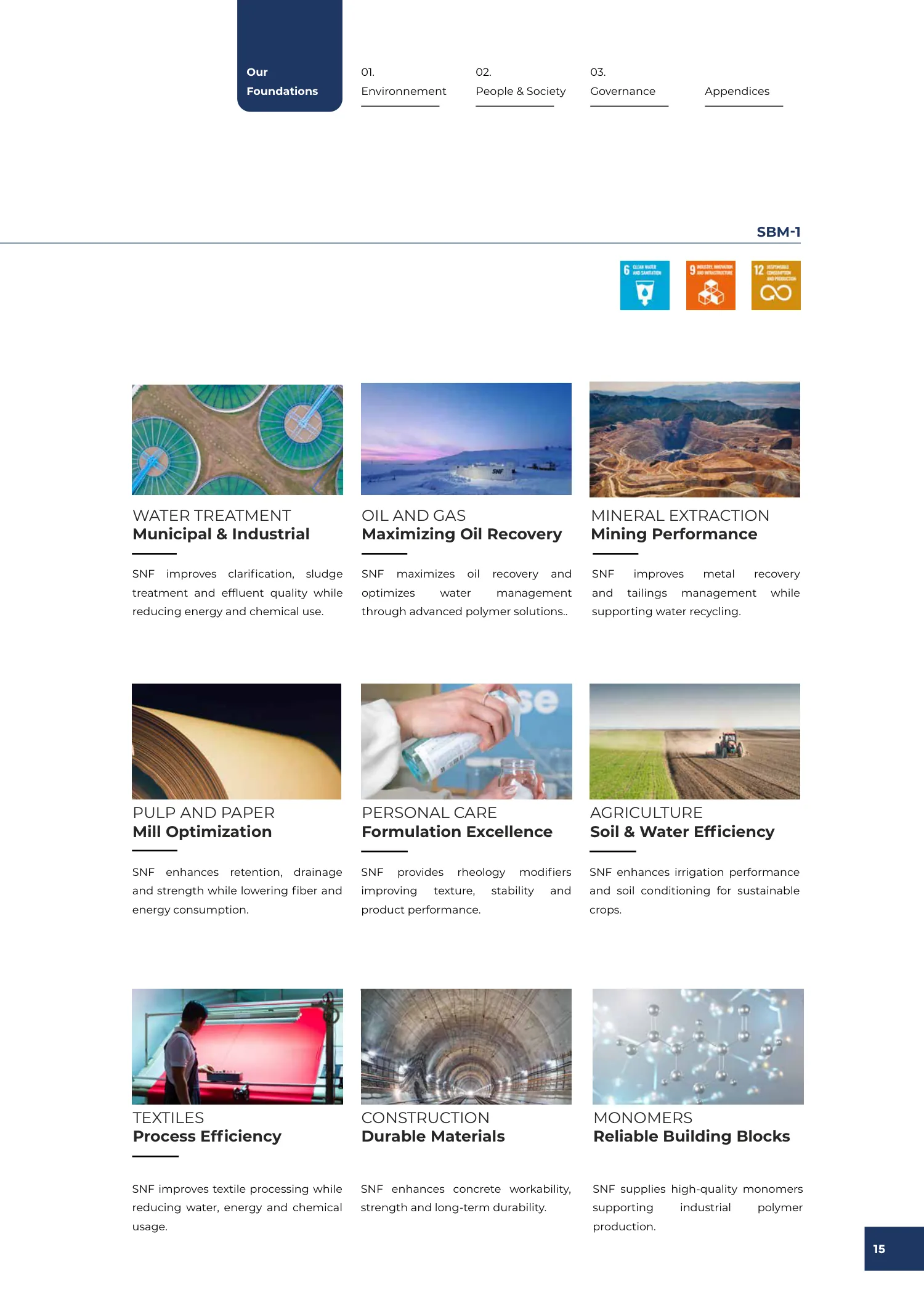 Page 15 of the SNF 2025 ESG Report: 0.1 Our Business Model and Strategy for Sustainable Growth