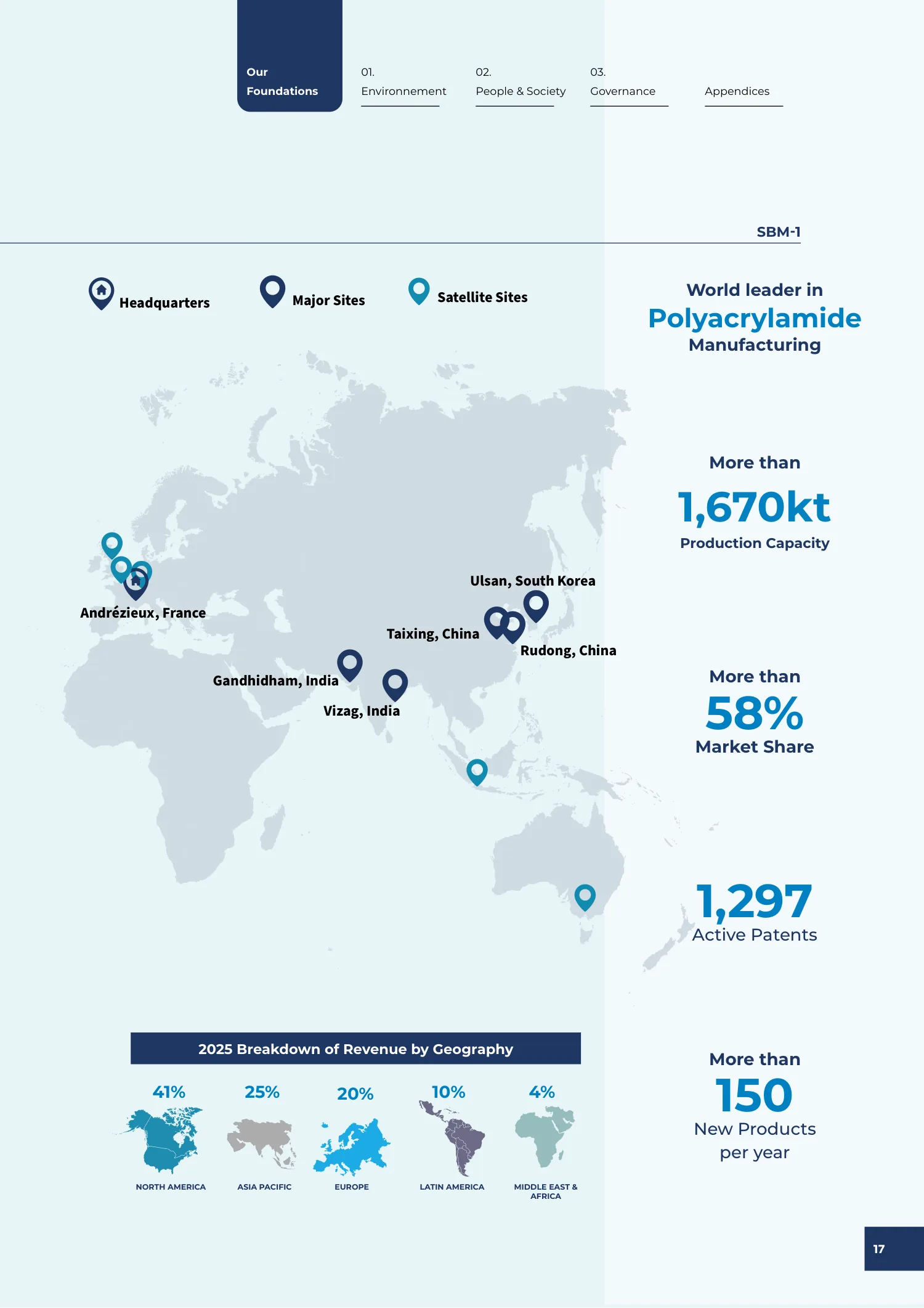 Page 17 of the SNF 2025 ESG Report: 0.1 Our Business Model and Strategy for Sustainable Growth