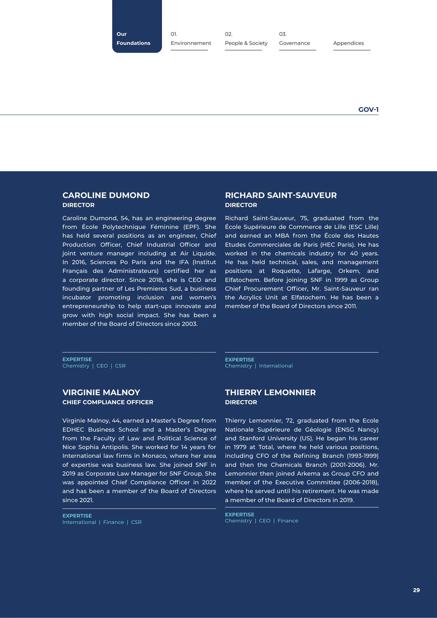 Page 29 of the SNF 2025 ESG Report: 0.2 Strong Governance for Responsible Business
