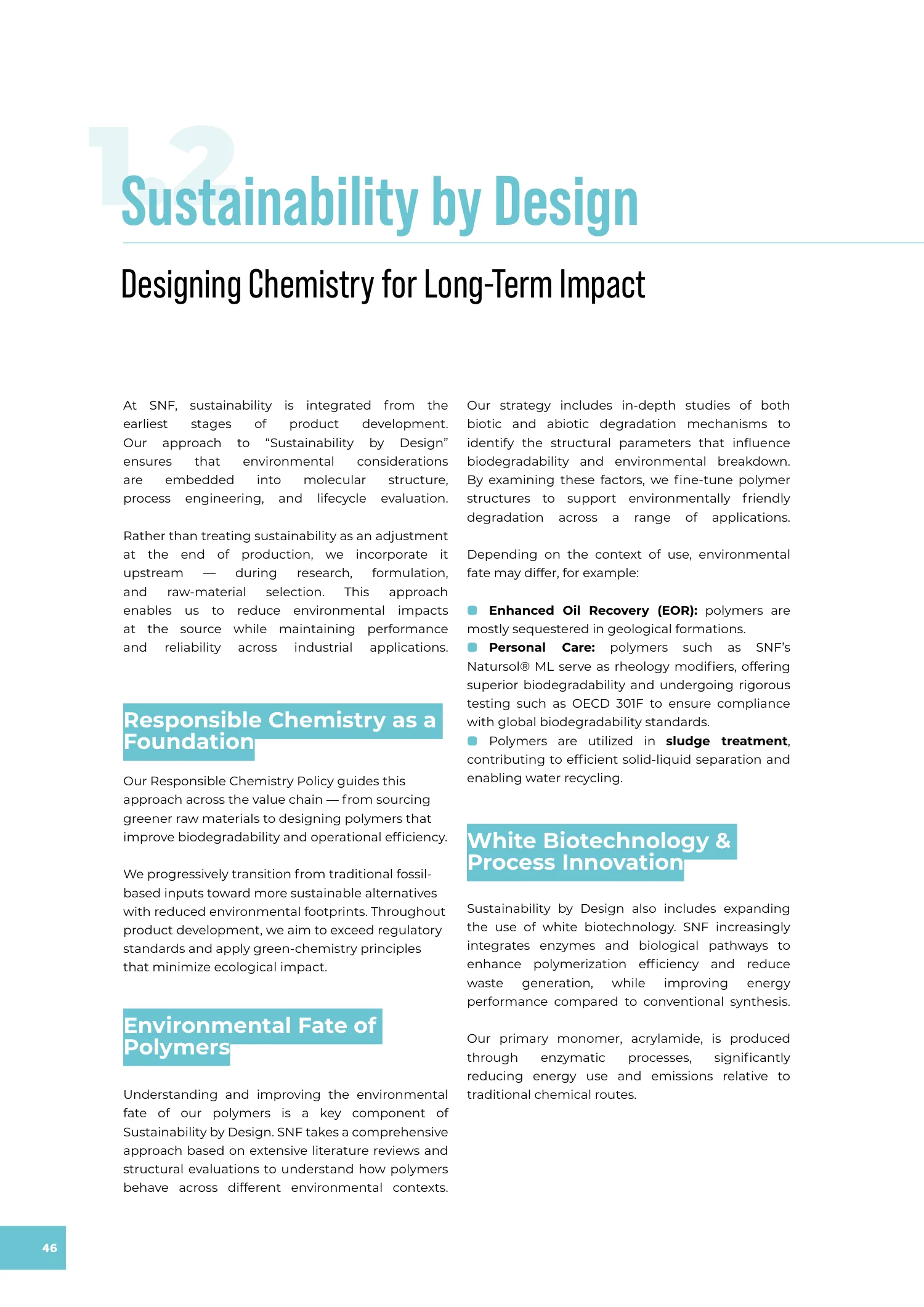 Page 46 of the SNF 2025 ESG Report: 1.2 Sustainability by Design
