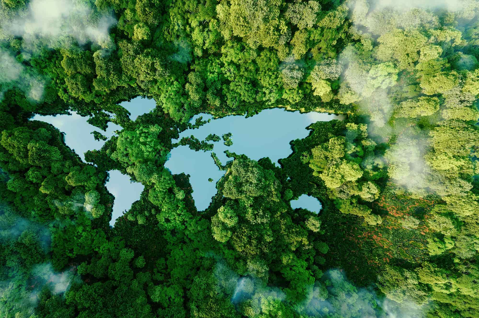 Abstract graphic depicting earth's continents as lakes surrounded by a forest